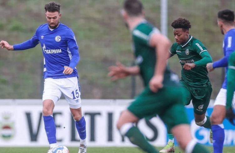 入住率同比 入住率同比