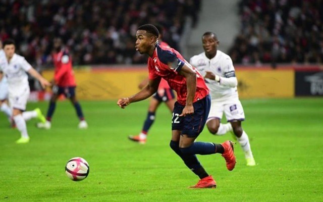 生活的宁静 生活的宁静