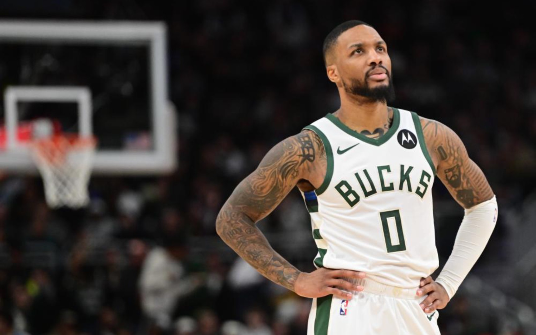 们所期待的 们所期待的