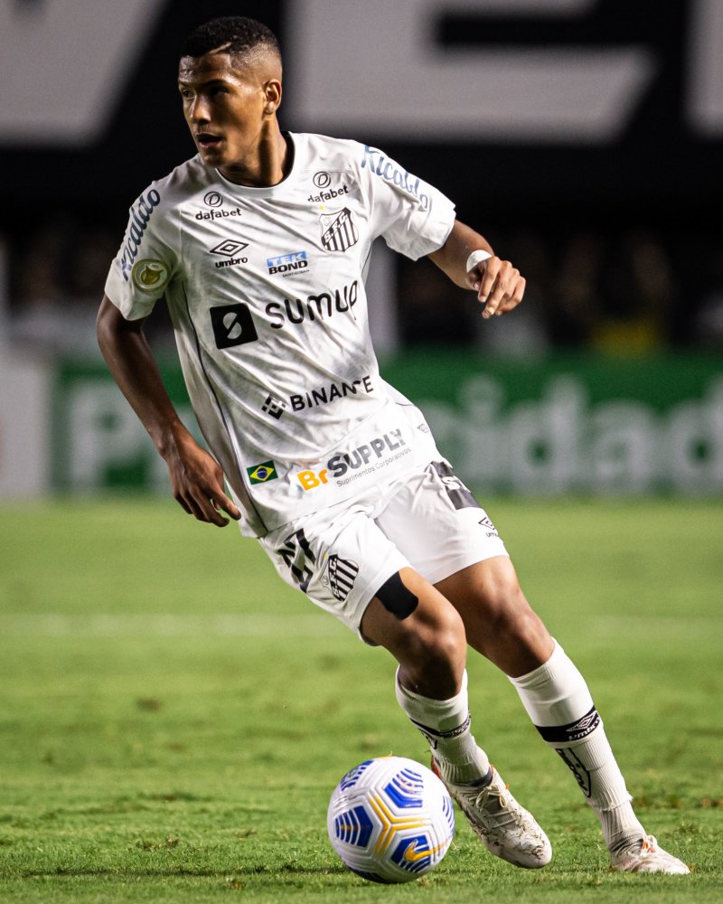 分禁区内的 分禁区内的